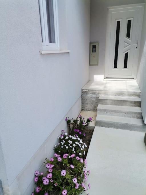 Apartman Janska Apartment Slano Exterior photo